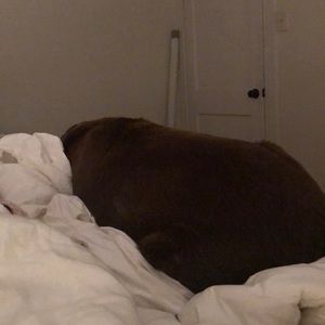 Meet your Posher, Kendall